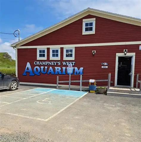 Aquarium exhibits at Champney's West