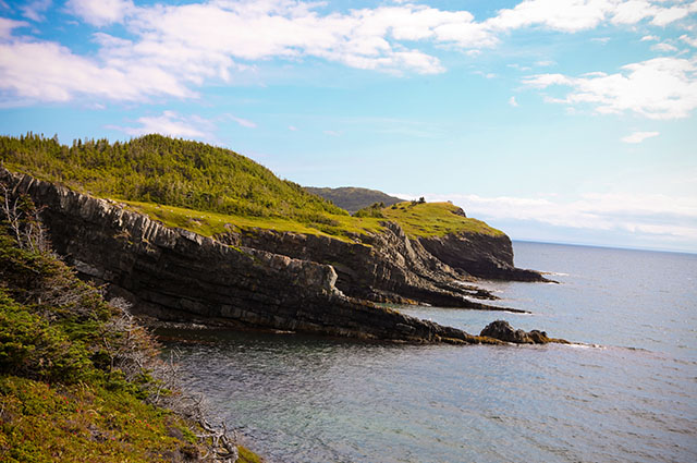 Fox Island Trail coastline